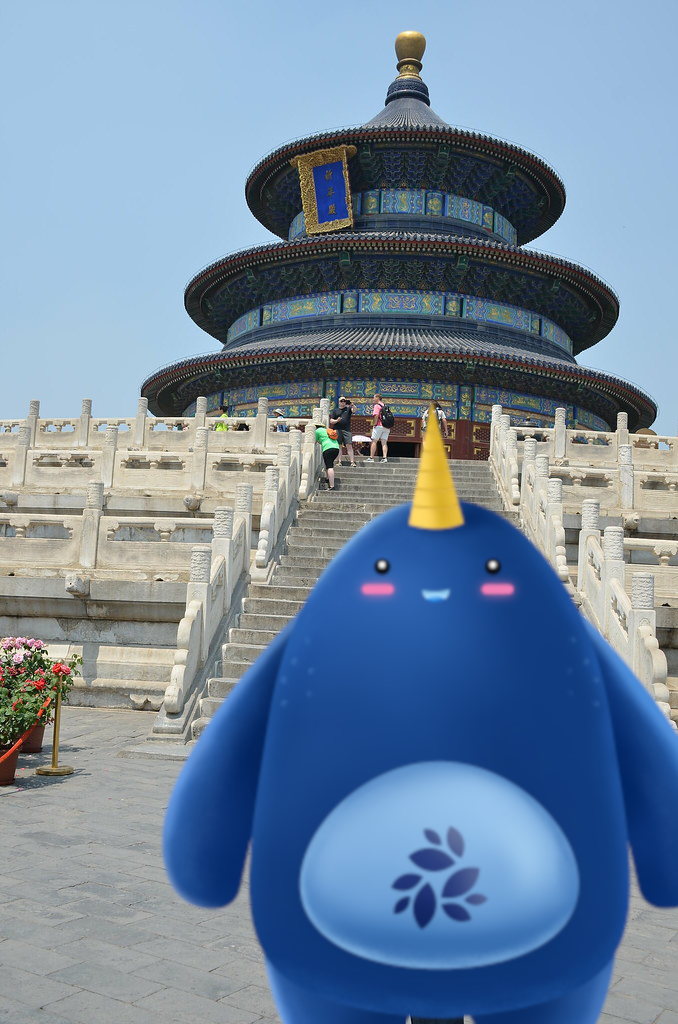 Beijing_selfie_narwhal