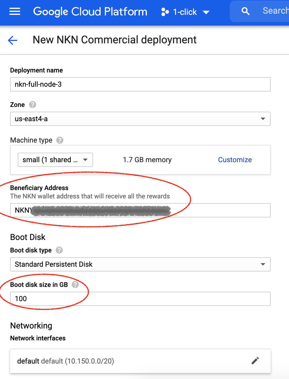 NKN Commercial GCP deployment example